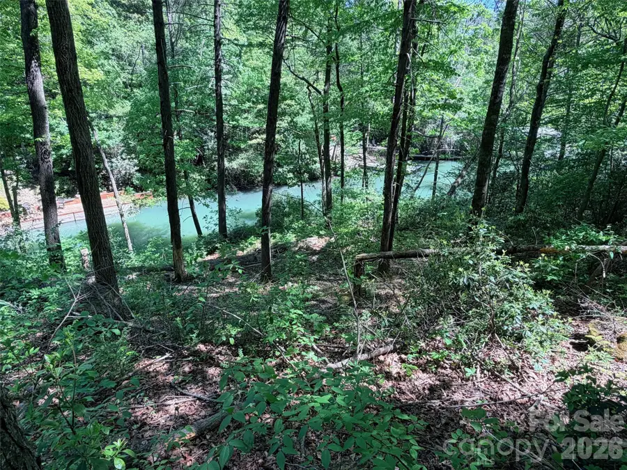 595 Quail Ridge Boulevard, Lake Lure, NC 28746 - #2