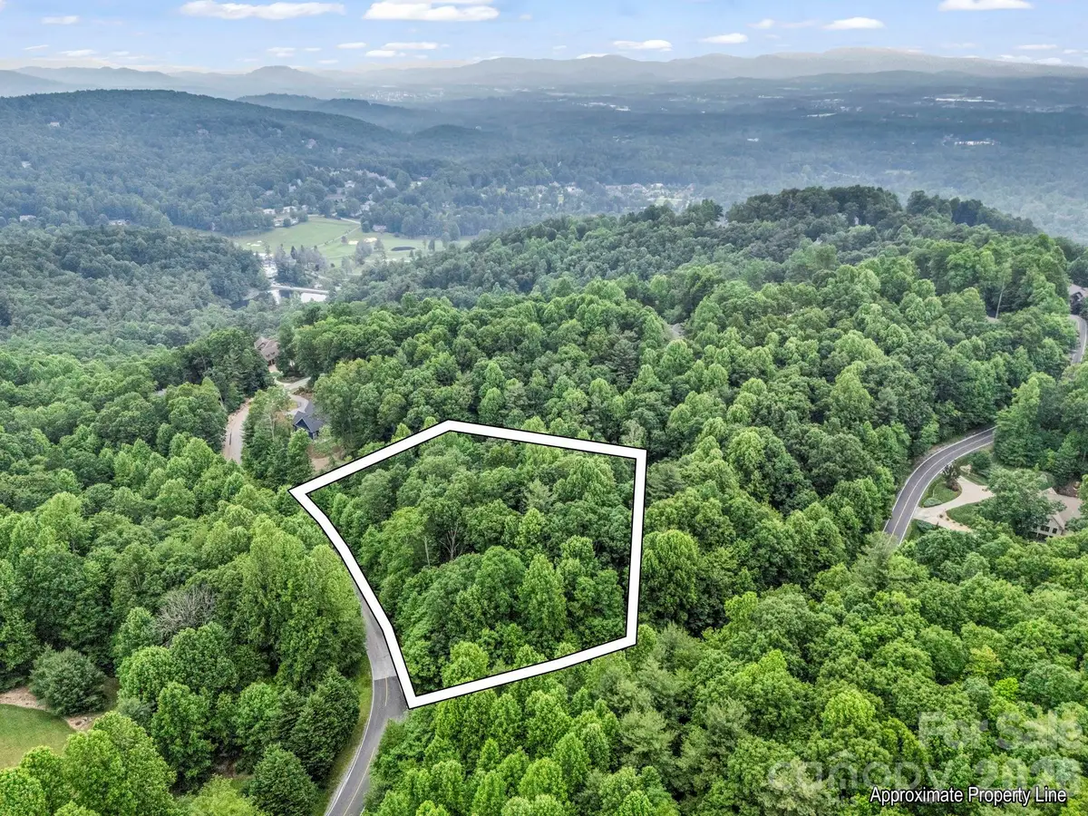168 Tarnhill Drive, Flat Rock, NC 28731 - #1