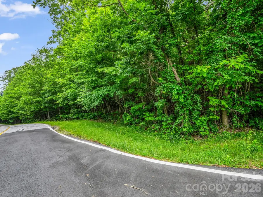 168 Tarnhill Drive, Flat Rock, NC 28731 - #3