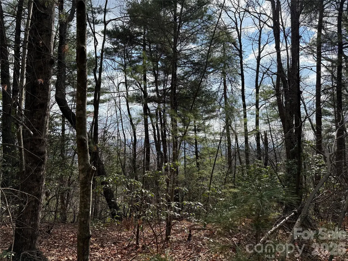 TBD Staghorn Road #51 & 52A, Purlear, NC 28665 - #1