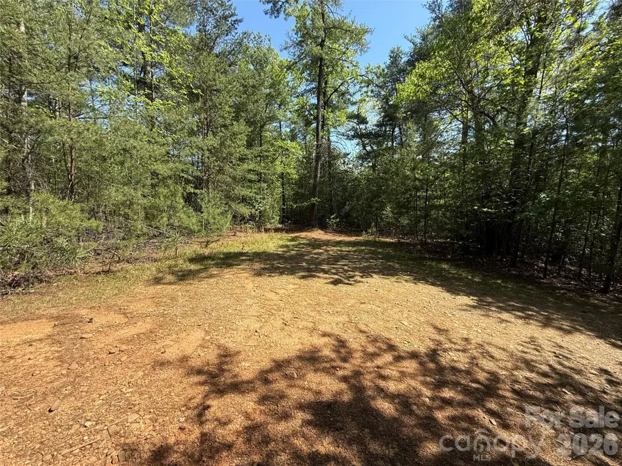 TBD Staghorn Road #51 & 52A, Purlear, NC 28665 - #2