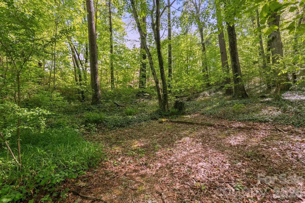 000 Skyline Drive #17, Hendersonville, NC 28791 - #1