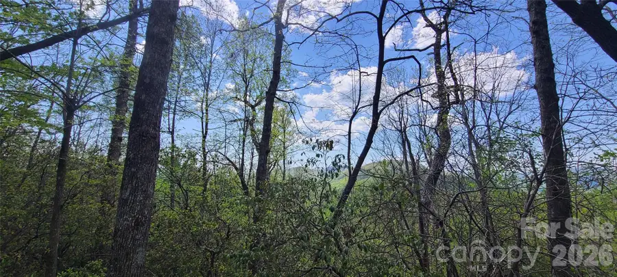 102 High Cliffs Trail, Black Mountain, NC 28711 - #2