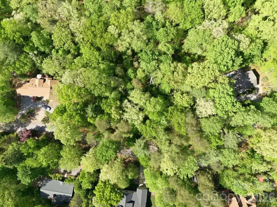 Lot 50 Huntington Road #50, Lake Lure, NC 28746 - #2