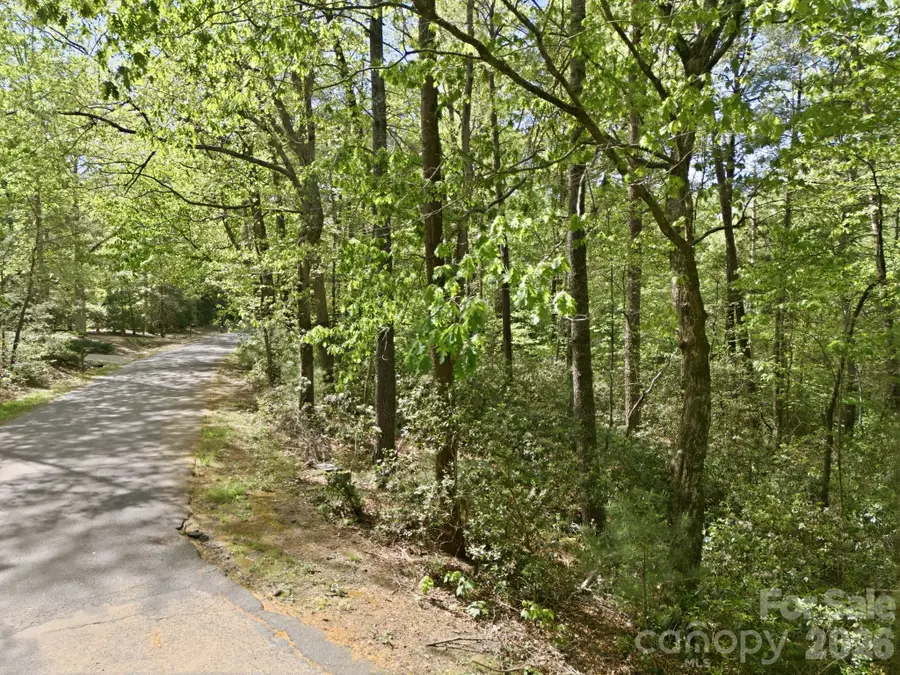 Lot 50 Huntington Road #50, Lake Lure, NC 28746 - #3