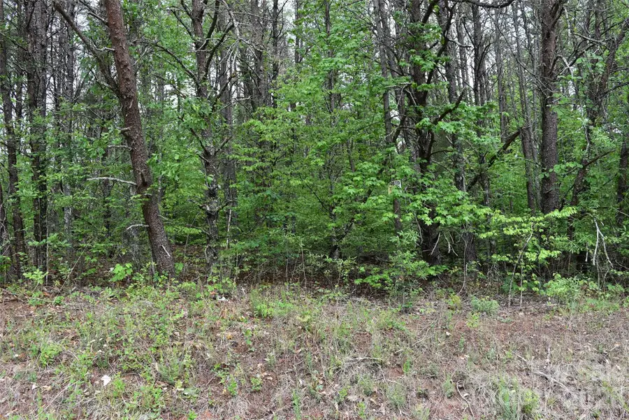 304 Moriah School Road, Casar, NC 28020 - #2