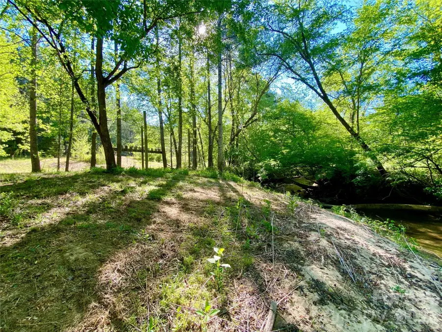 0 Walking Horse Trail, Rutherfordton, NC 28139 - #2