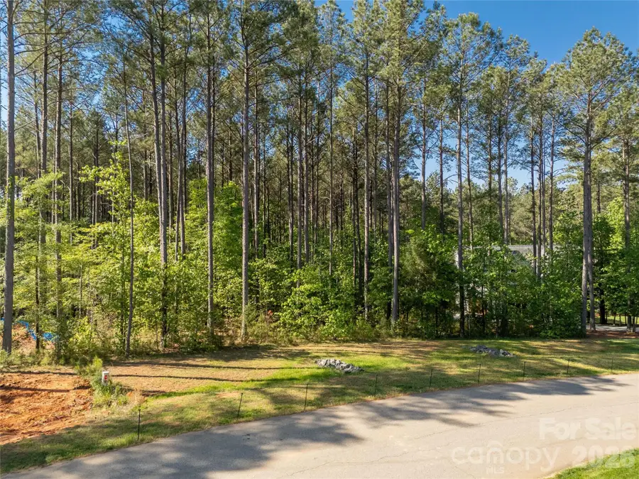 6361 Chimney Bluff Road, Lancaster, SC 29720 - #2