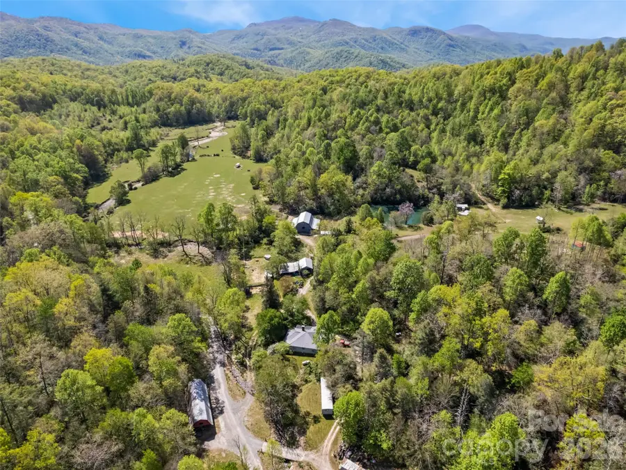 1372 Sand Branch Road, Black Mountain, NC 28711 - #3
