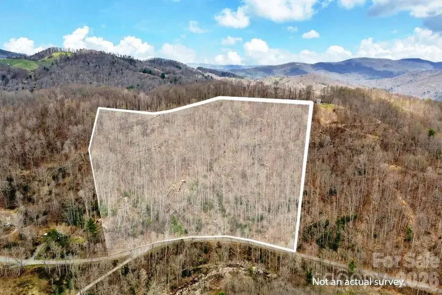 TBD Buckeye Road, Elk Park, NC 28622 - #2