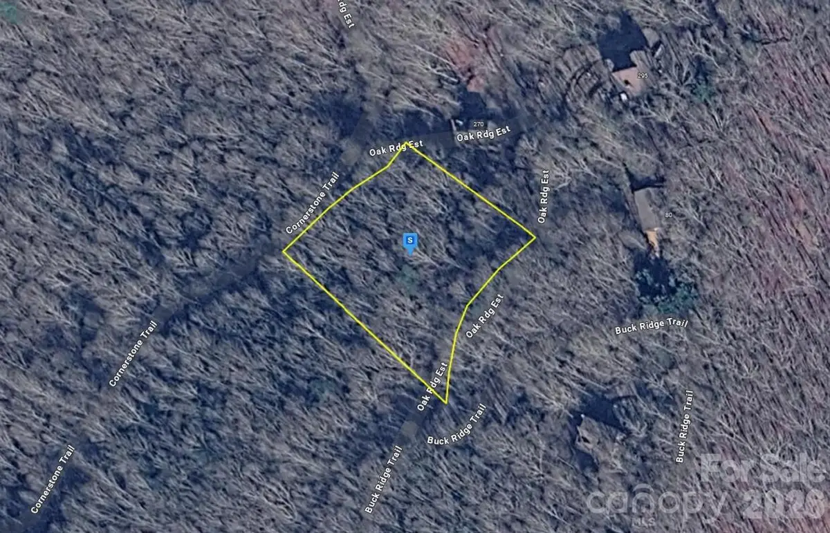 300 Oak Ridge Estate, Murphy, NC 28906 - #1