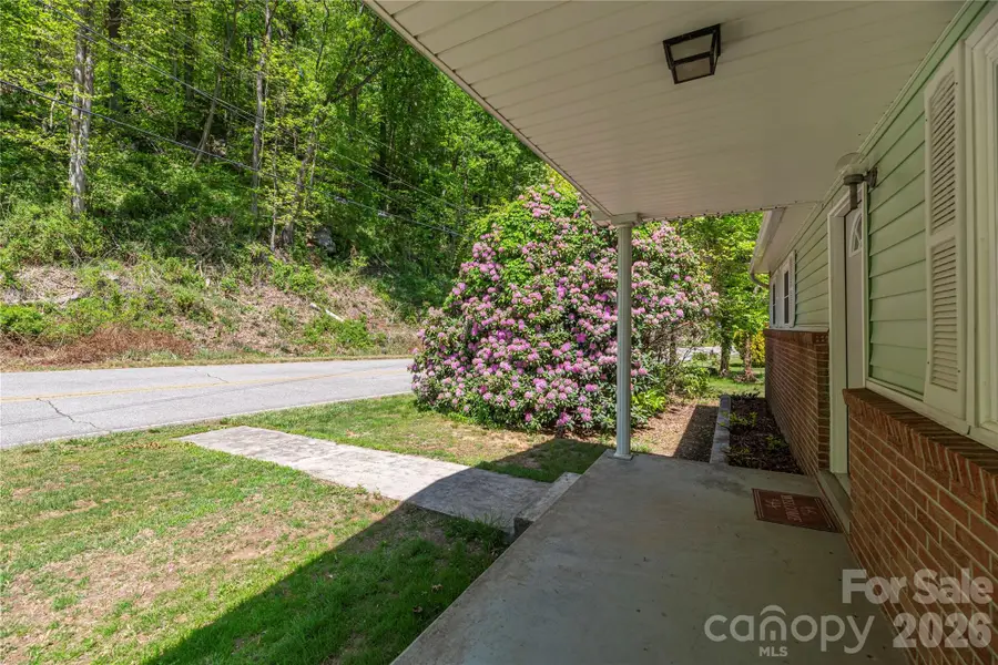 1140 Groundhog Road, Canton, NC 28716 - #3