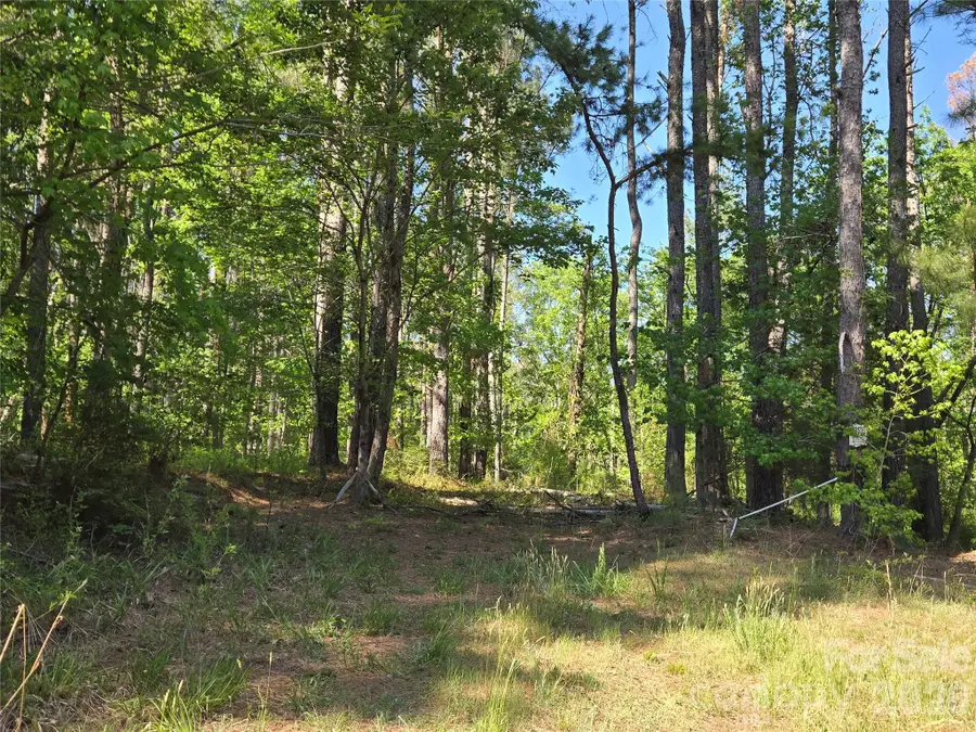 0 Blaine Road, Eldorado, NC 27371 - #2