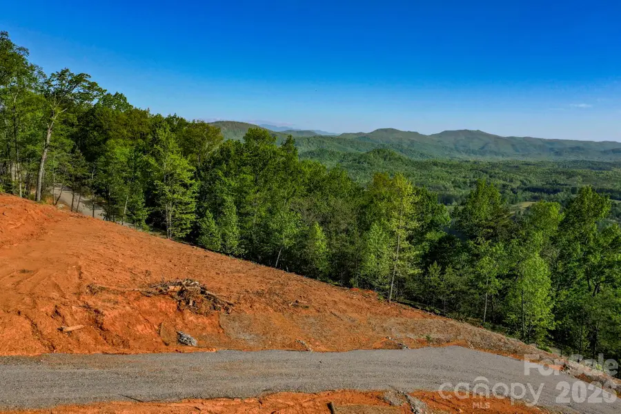 0 Half Moon Mile None, Lake Lure, NC 28746 - #3