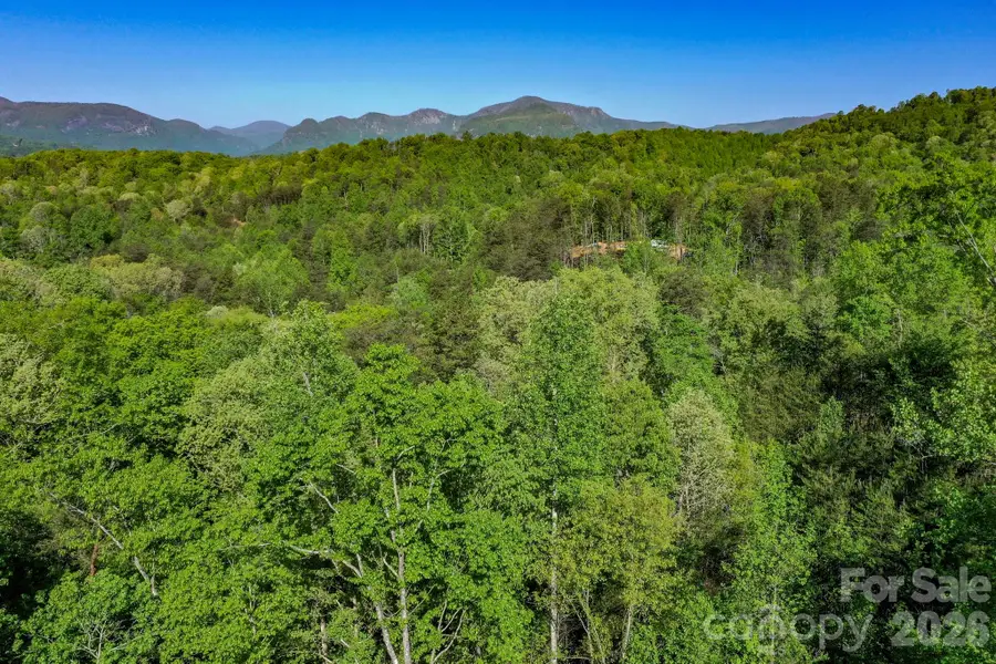 0 Willow Top Lane, Lake Lure, NC 28746 - #2