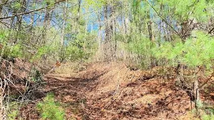 000 Jeter Mountain Road, Hendersonville, NC 28739 - #3