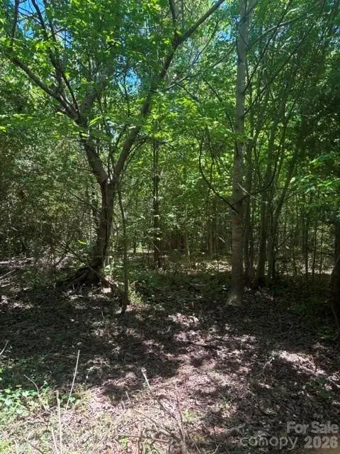 0 E Pine Hill Avenue, Morganton, NC 28655 - #3