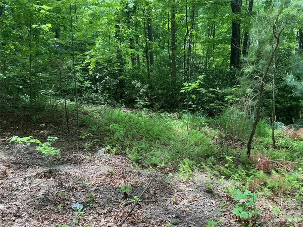 00 Green River Cove Road, Saluda, NC 28773