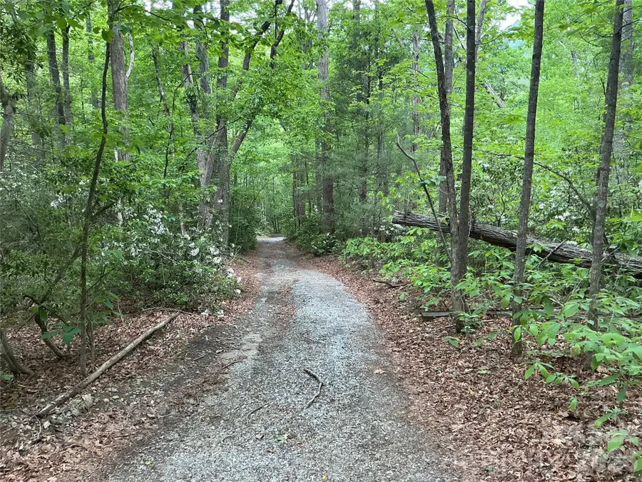 00 Green River Cove Road, Saluda, NC 28773 - #2