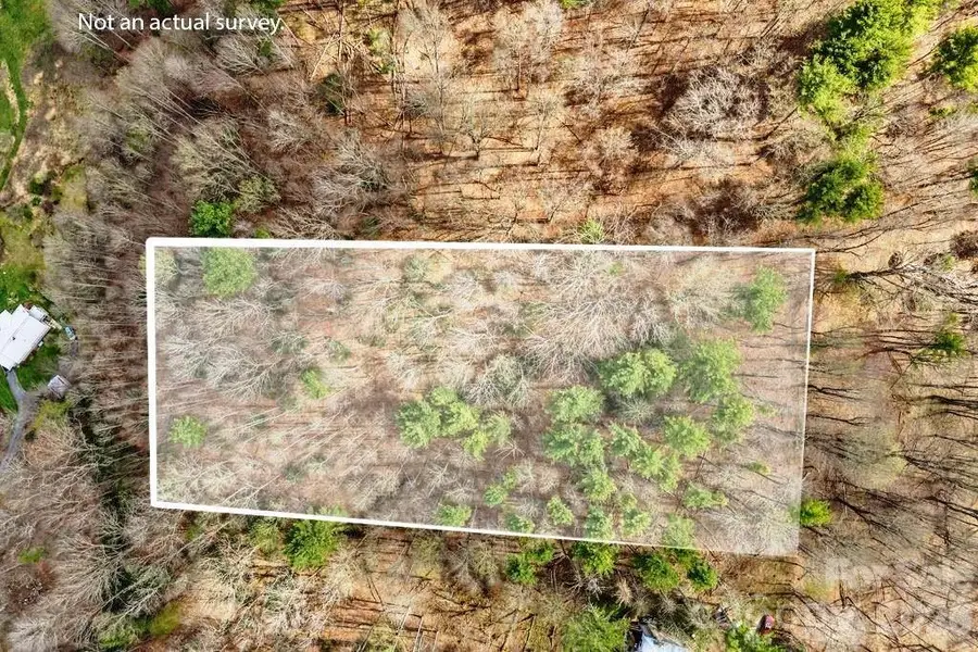 tbd Private Drive, Sugar Grove, NC 28679 - #2