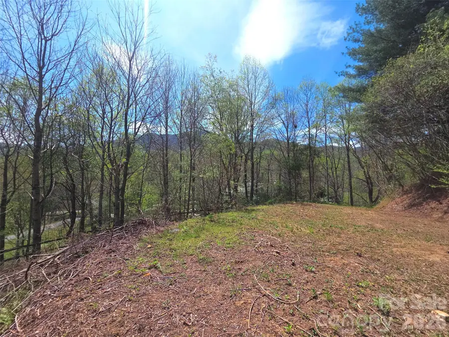 50 Turtle Rock Lane #6, Waynesville, NC 28785 - #2