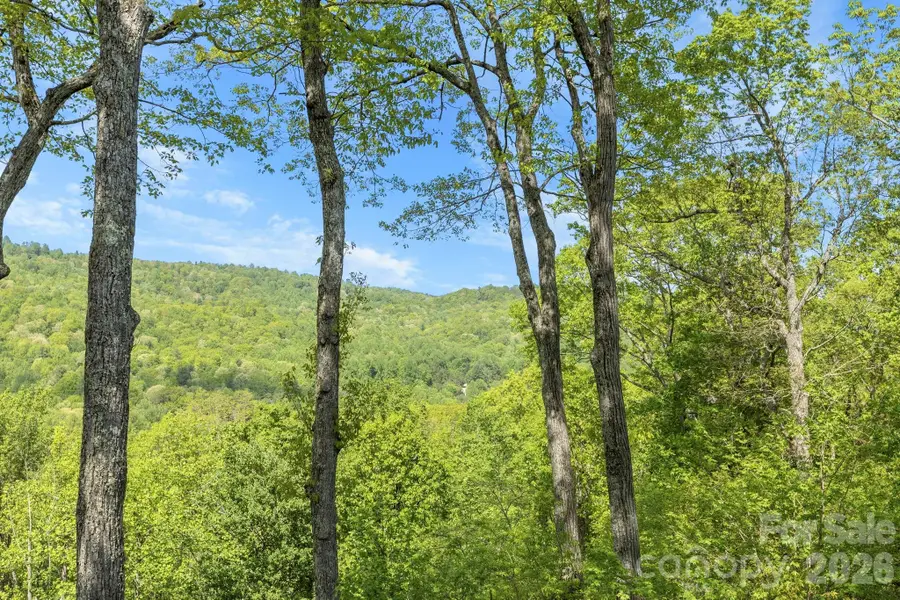 8 Spring Ridge Lane, Hendersonville, NC 28739 - #2