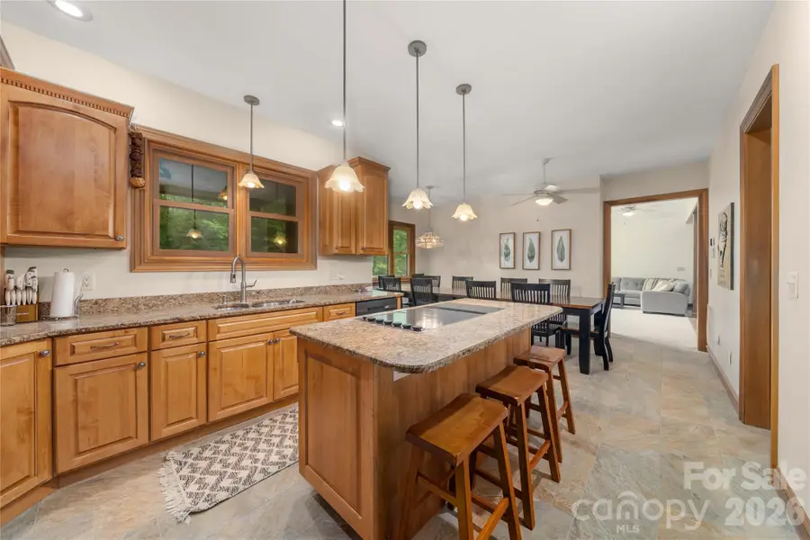 176 Hemlock Lane, Lake Lure, NC 28746 - #3