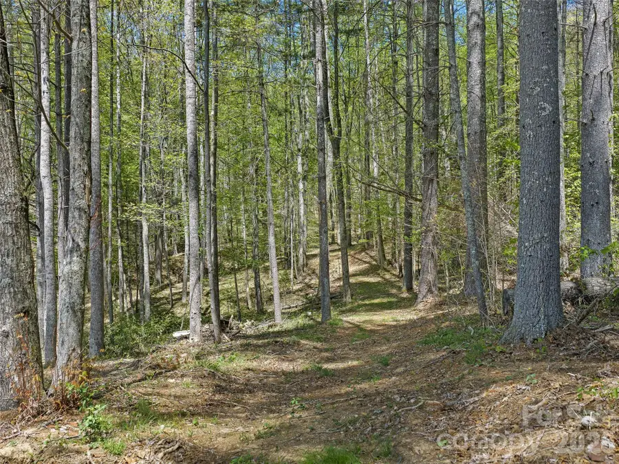 105 Satinwood Drive, Burnsville, NC 28714 - #3