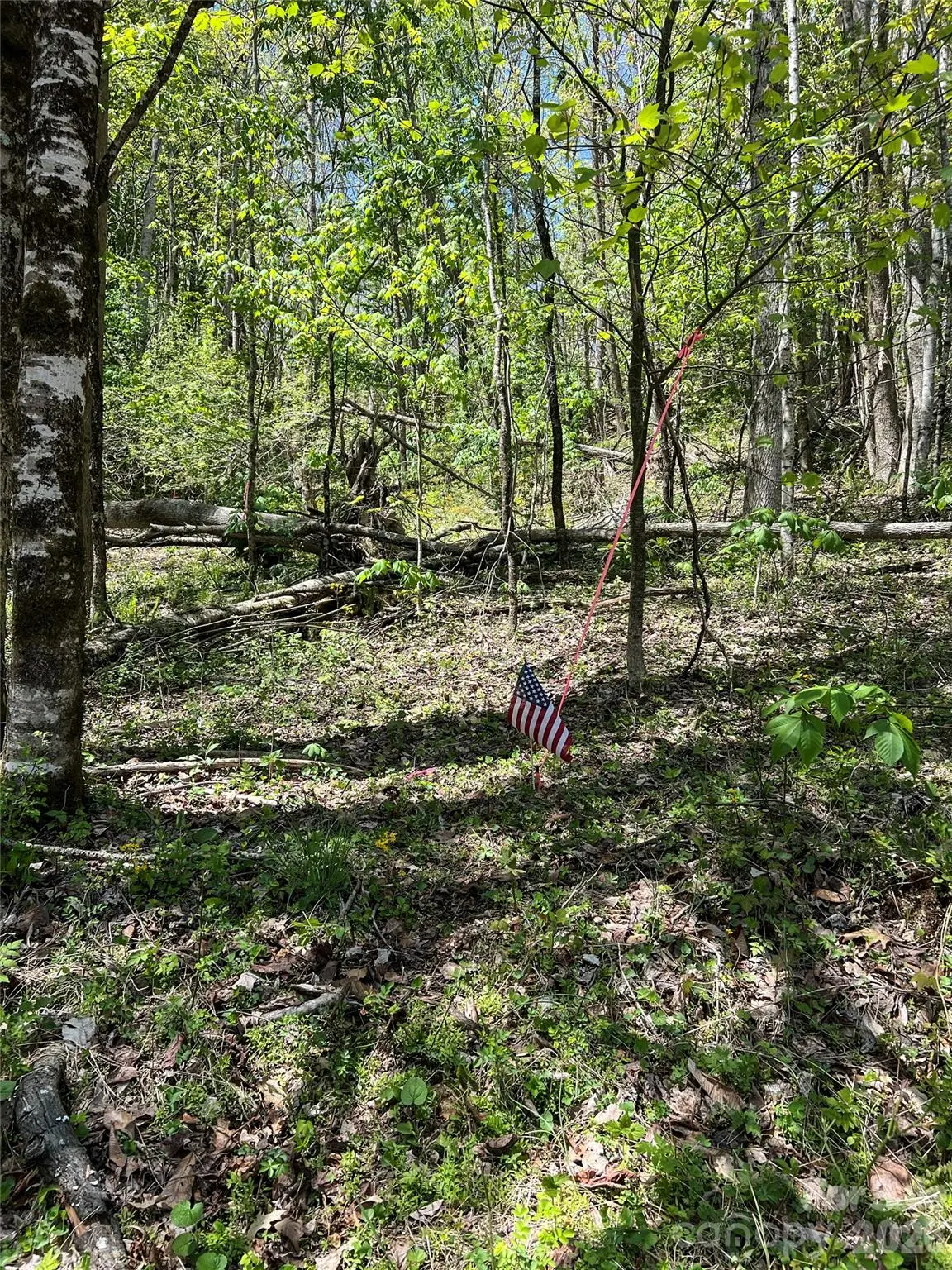 Lot# 34 Buckeye Creek Road #34, Banner Elk, NC 28604 - #1