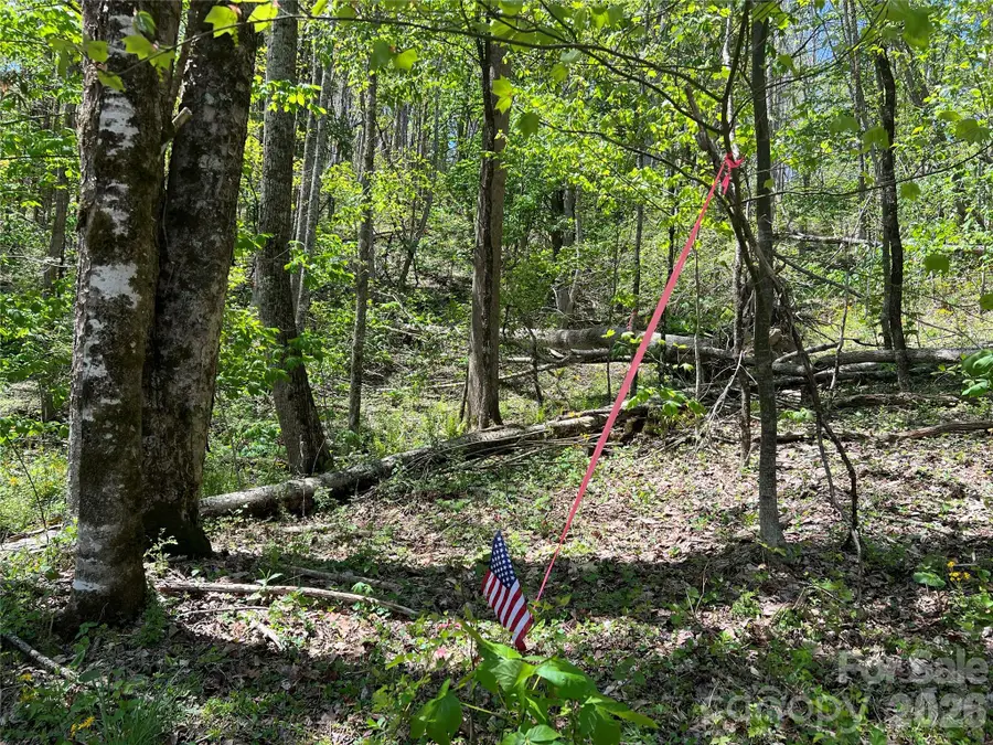 Lot# 34 Buckeye Creek Road #34, Banner Elk, NC 28604 - #3