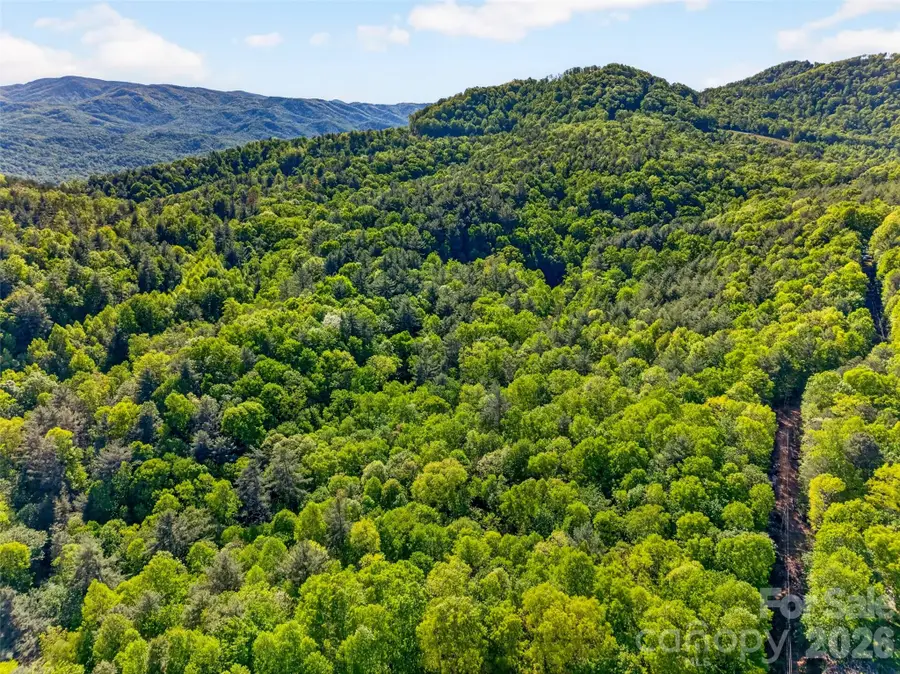 451 Signal Tree Road, Deep Gap, NC 28618 - #2
