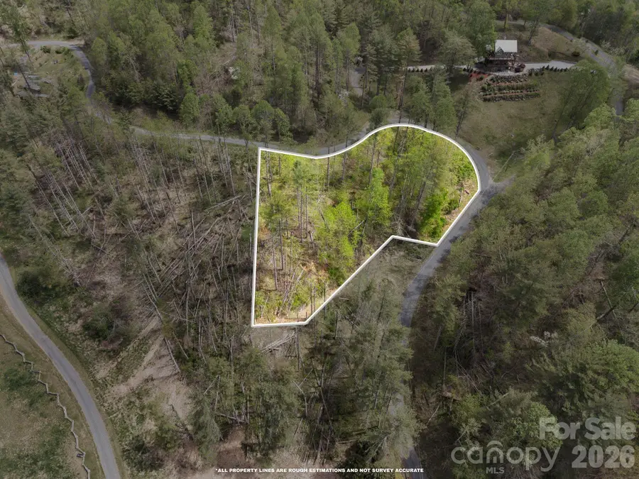 0000 Mountain Crest Drive #18, Bakersville, NC 28705 - #2