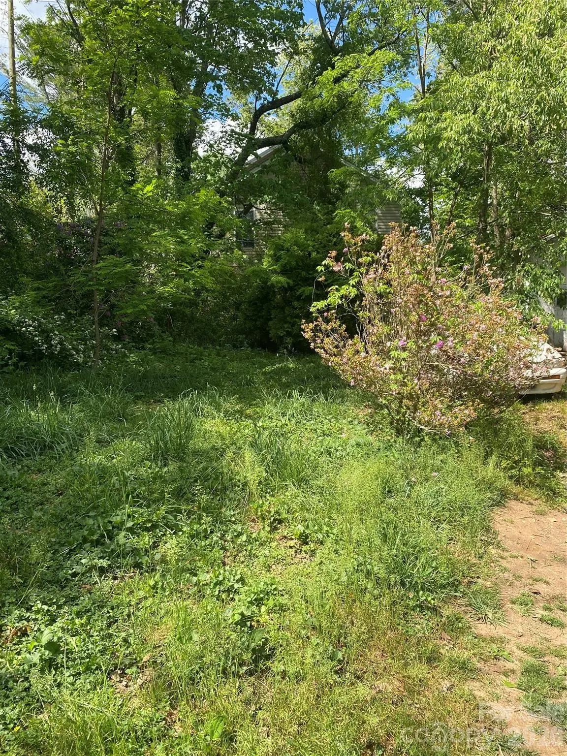 TBD Lilac Street, Asheville, NC 28806 - #1