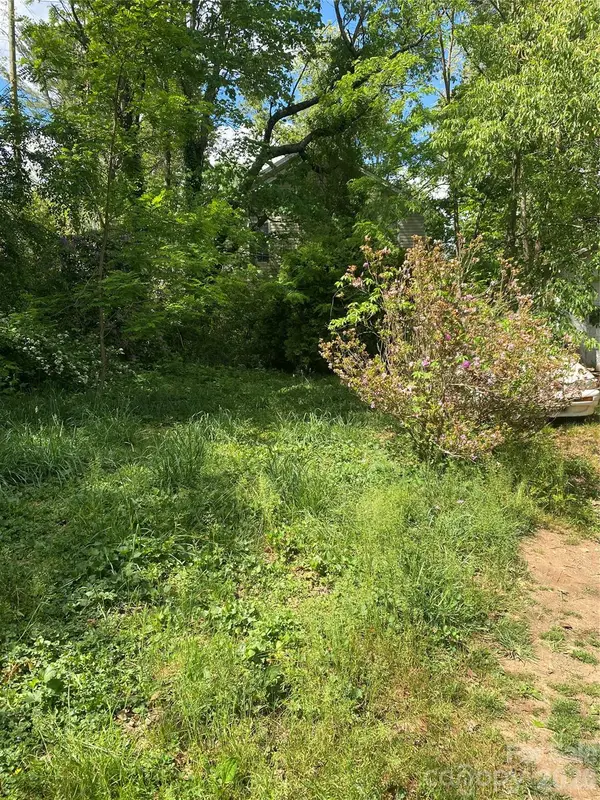 TBD Lilac Street, Asheville, NC 28806