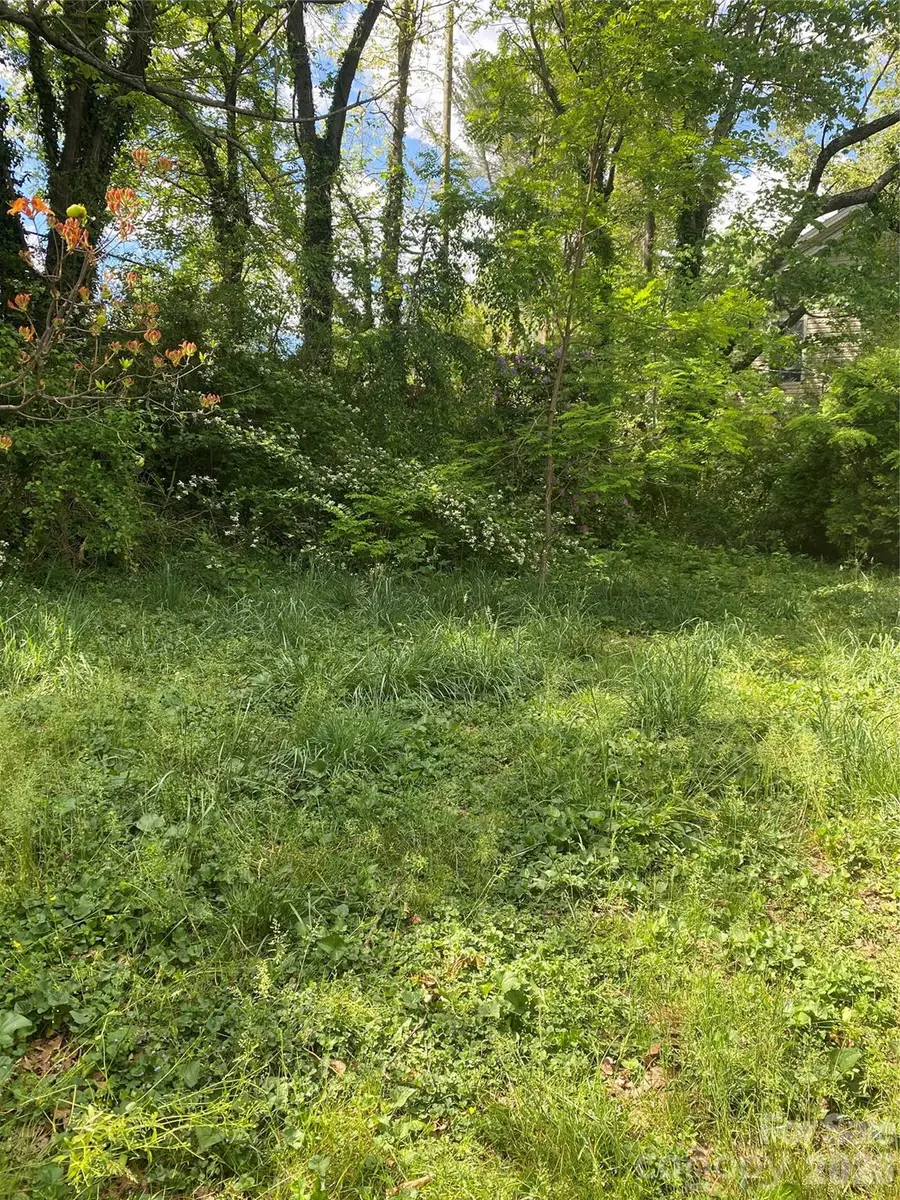 TBD Lilac Street, Asheville, NC 28806 - #2