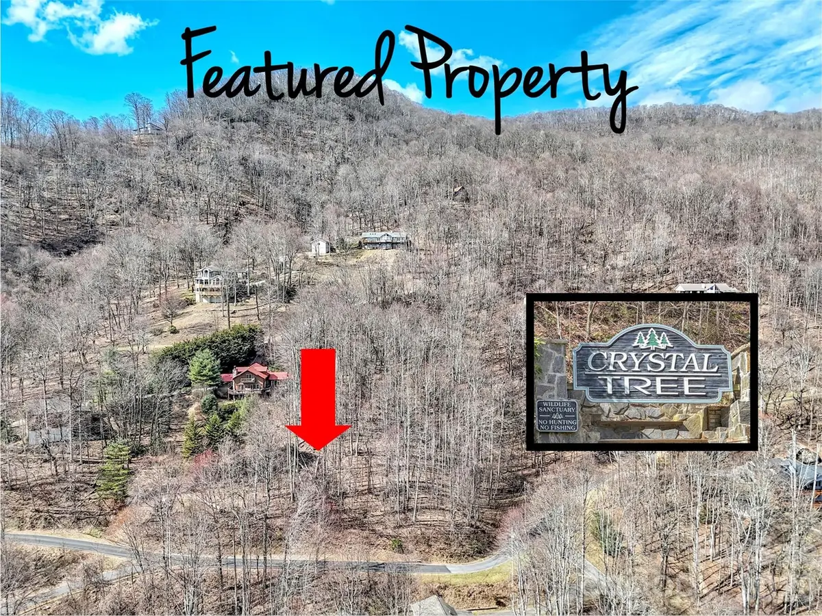 TBD Chipmunk Circle #27, Waynesville, NC 28785 - #1