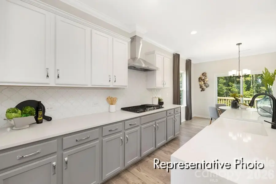 285 Gray Wolf Street #115p, China Grove, NC 28023 - #3