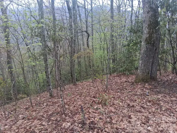0000 Bear Creek Road, Maggie Valley, NC 28721