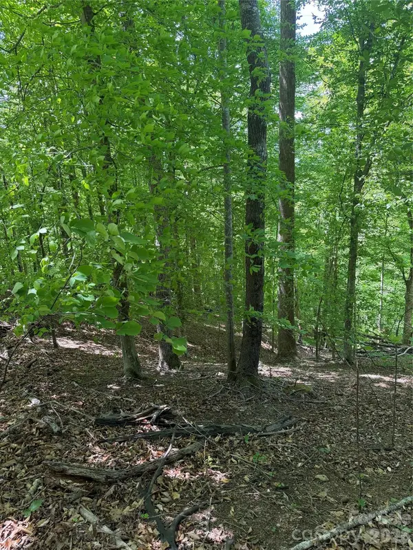 0 Creekside Circle #135, Rutherfordton, NC 28139