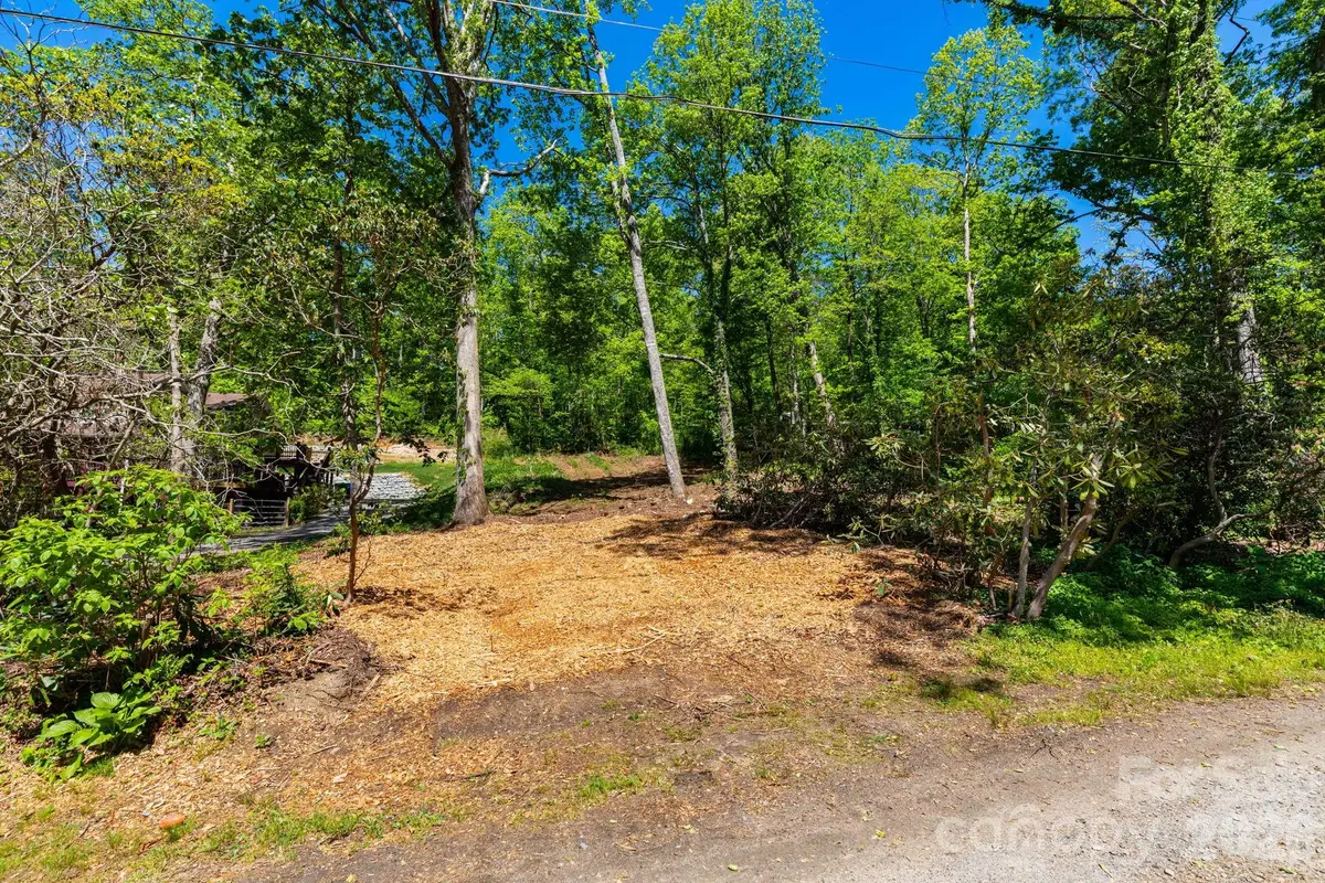 99999 Meeks Road, Black Mountain, NC 28711 - #1