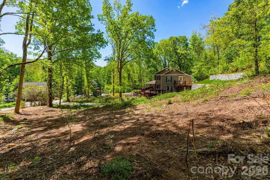 99999 Meeks Road, Black Mountain, NC 28711 - #3