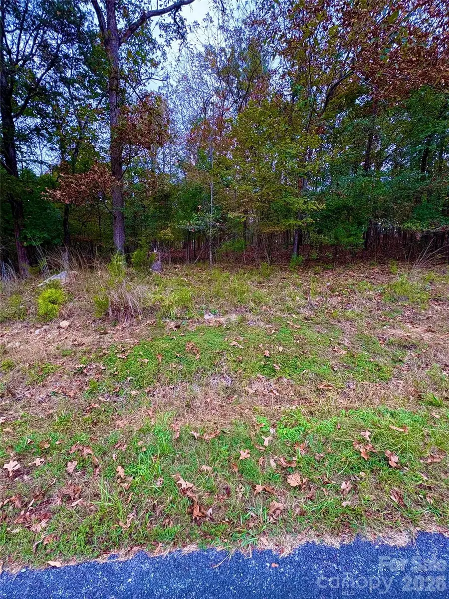 000 Berry Hill Drive #717, Norwood, NC 28128 - #3