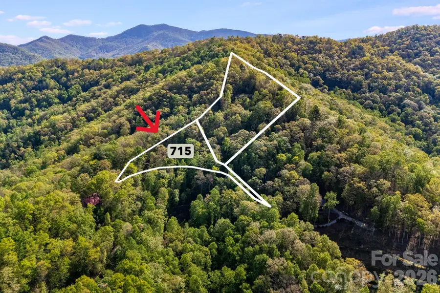 785 Laurel Spring Drive, Bryson City, NC 28713 - #2