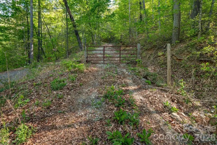 785 Laurel Spring Drive, Bryson City, NC 28713 - #3