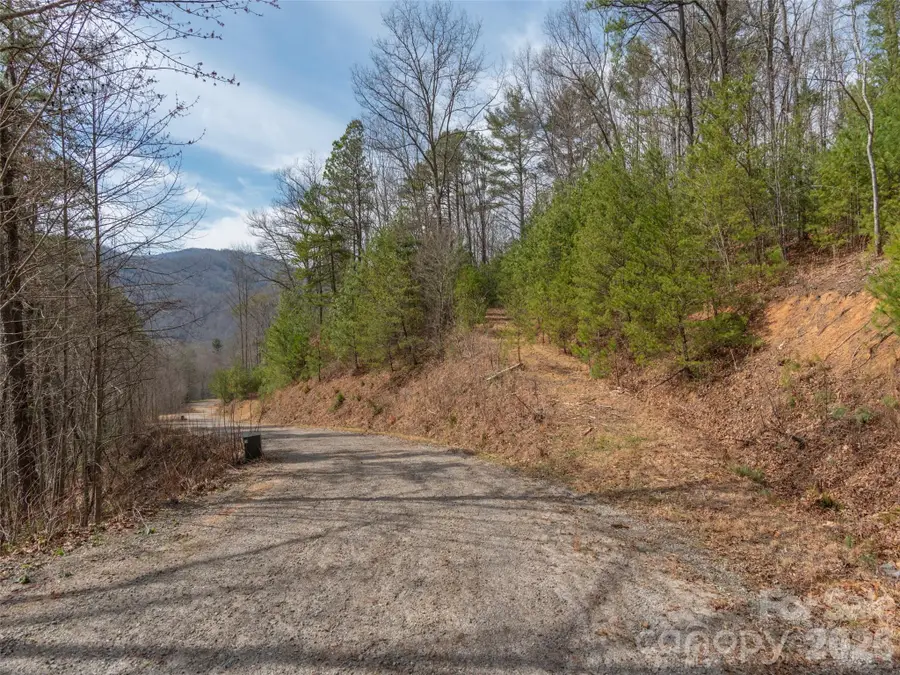 454 Dream Valley Drive, Clyde, NC 28721 - #2