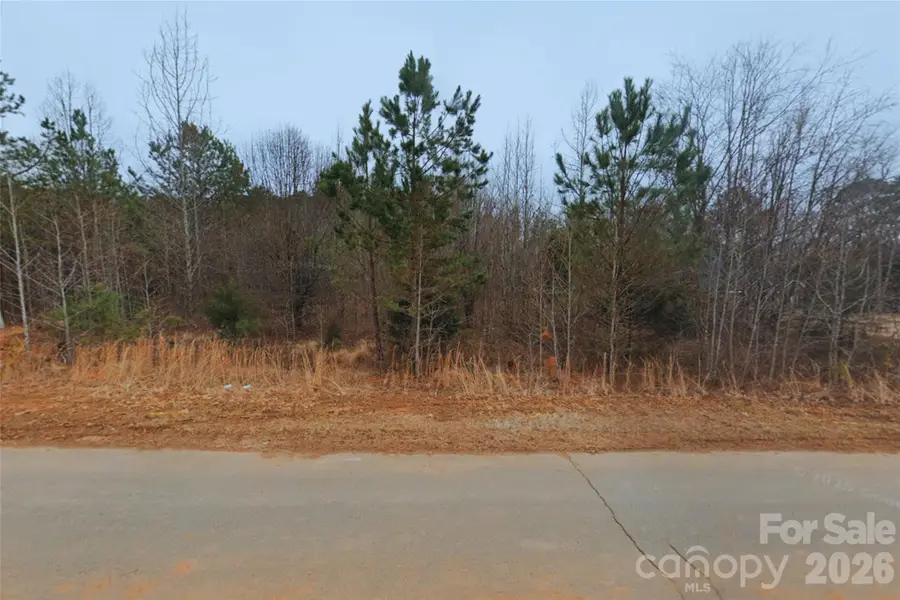 4139 Gateview Court, Rock Hill, SC 29732 - #2