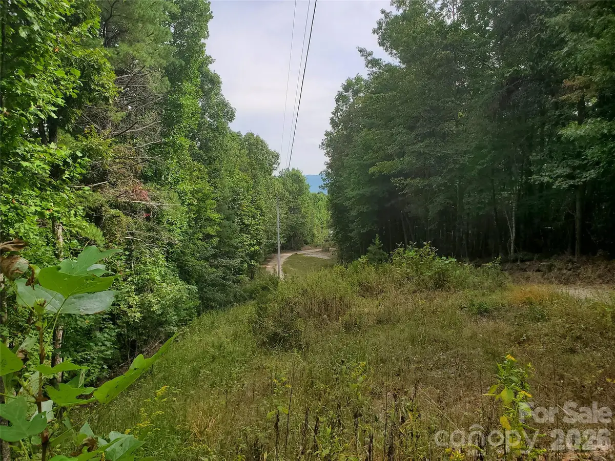 3024 Pearson Mountain Road, Boomer, NC 28606 - #1