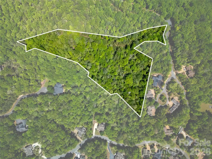 TBD Springhouse Trail #L15, Brevard, NC 28712 - #2