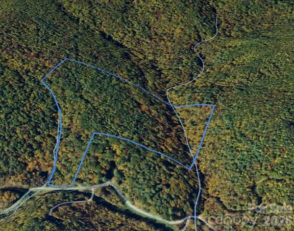0 Russell Gap Road, Taylorsville, NC 28654