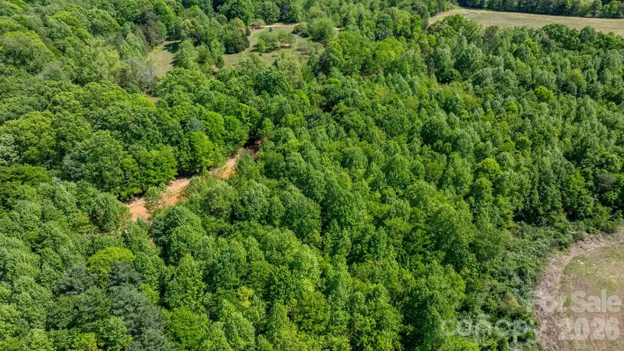 173 Long Leaf Pine Road #Lot 2, Hiddenite, NC 28636 - #3